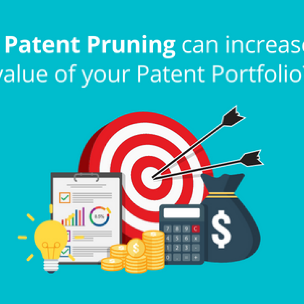 How Patent Pruning can increase the value of your Patent Portfolio?