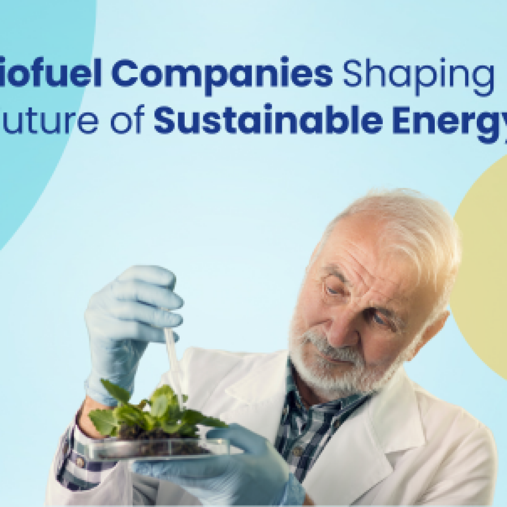 5 biofuel companies shaping the future of sustainable energy