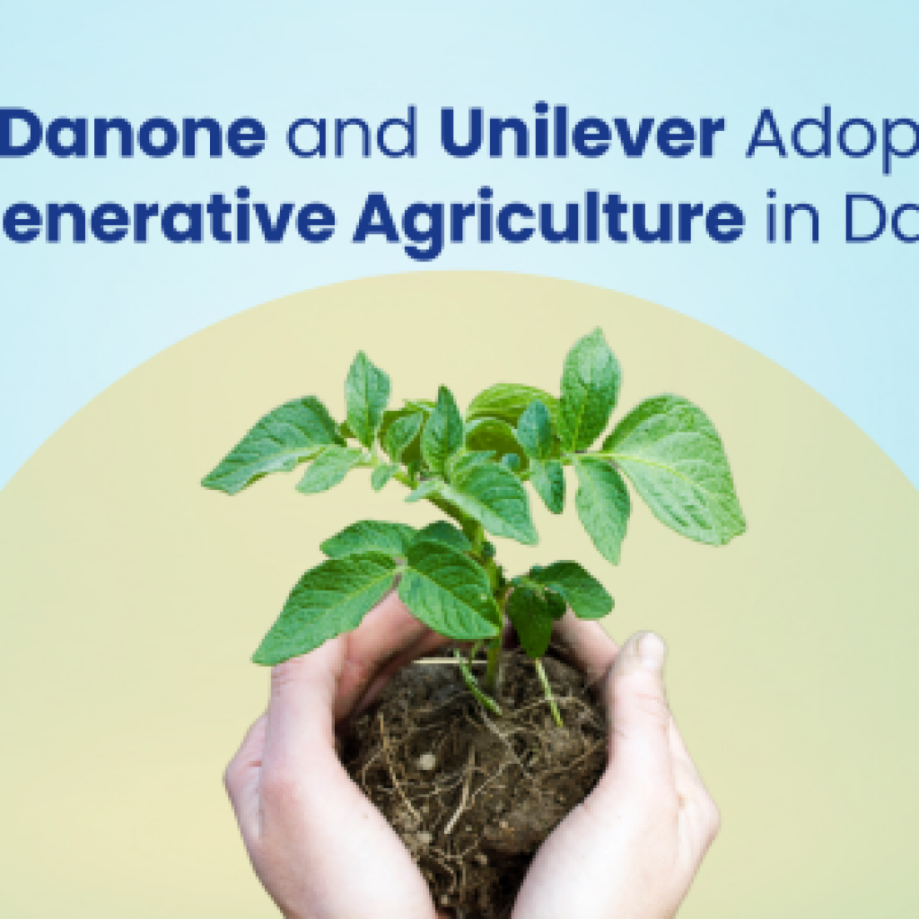 Are Danone and Unilever Adopting Regenerative Agriculture in Dairy?