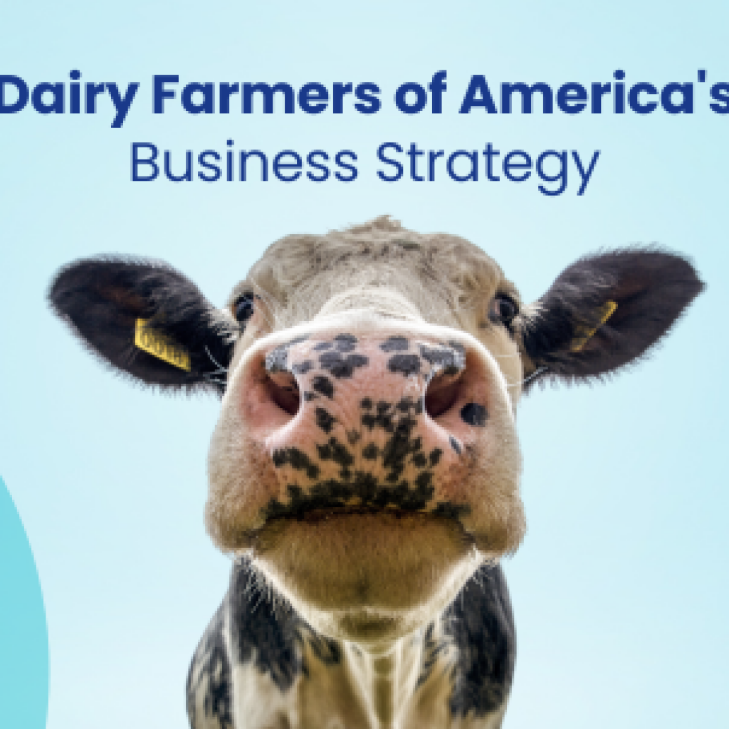 dairy-farmers-of-america-business-strategy