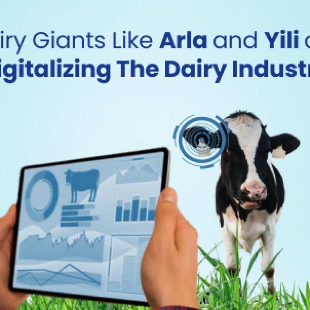 dairy-giants-like-arla-and-yili-are-digitalizing-the-dairy-industry