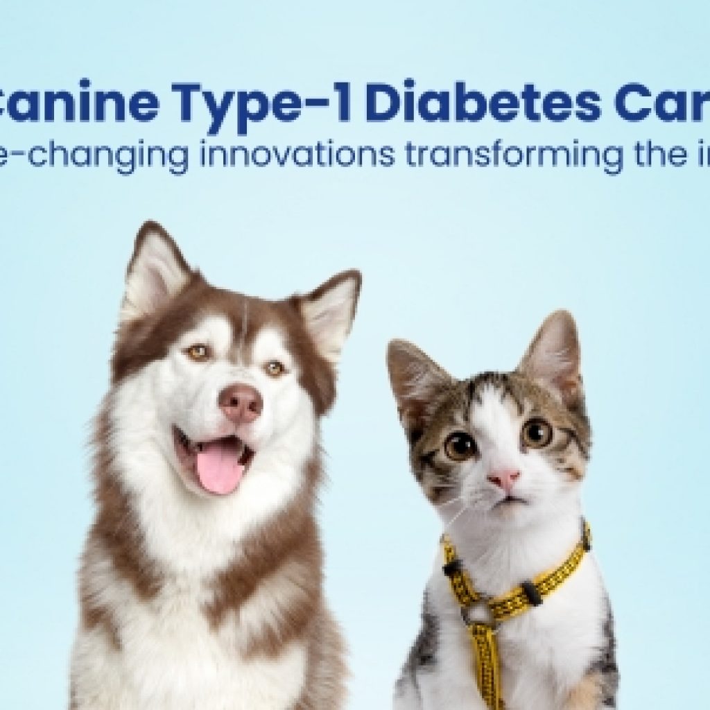 Canine Type-1 Diabetes Care 5 game-changing innovations leading the change