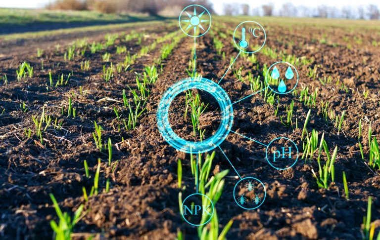 5 Agriculture Technology Trends To Watch In 2025 - GreyB