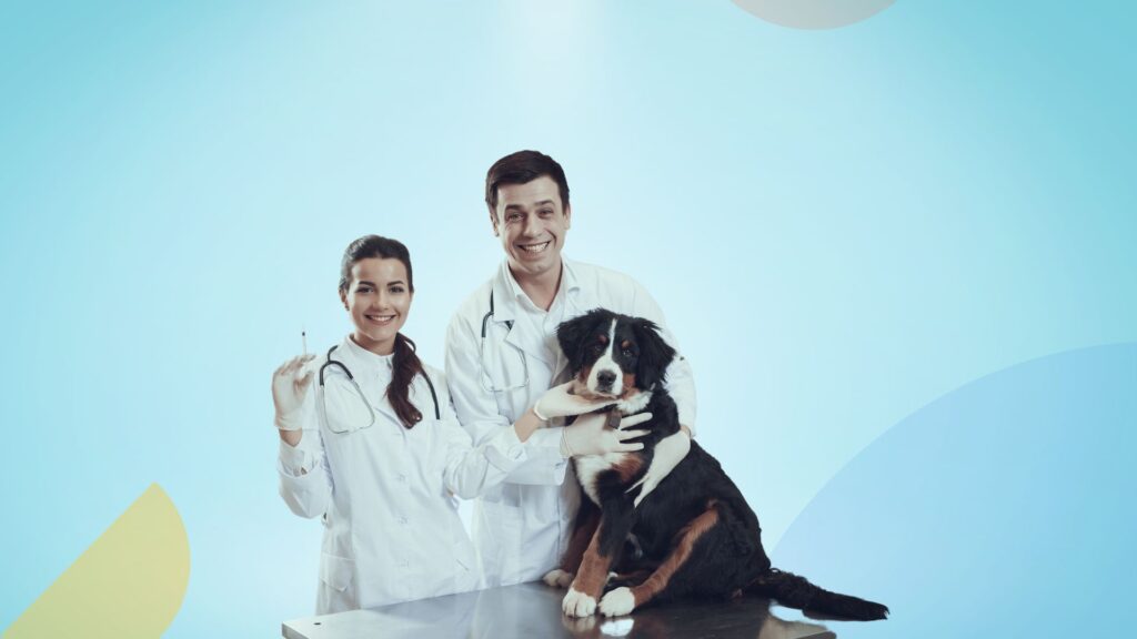 Animal Healthcare FI