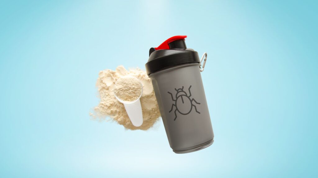 Insect Based Protein Startups