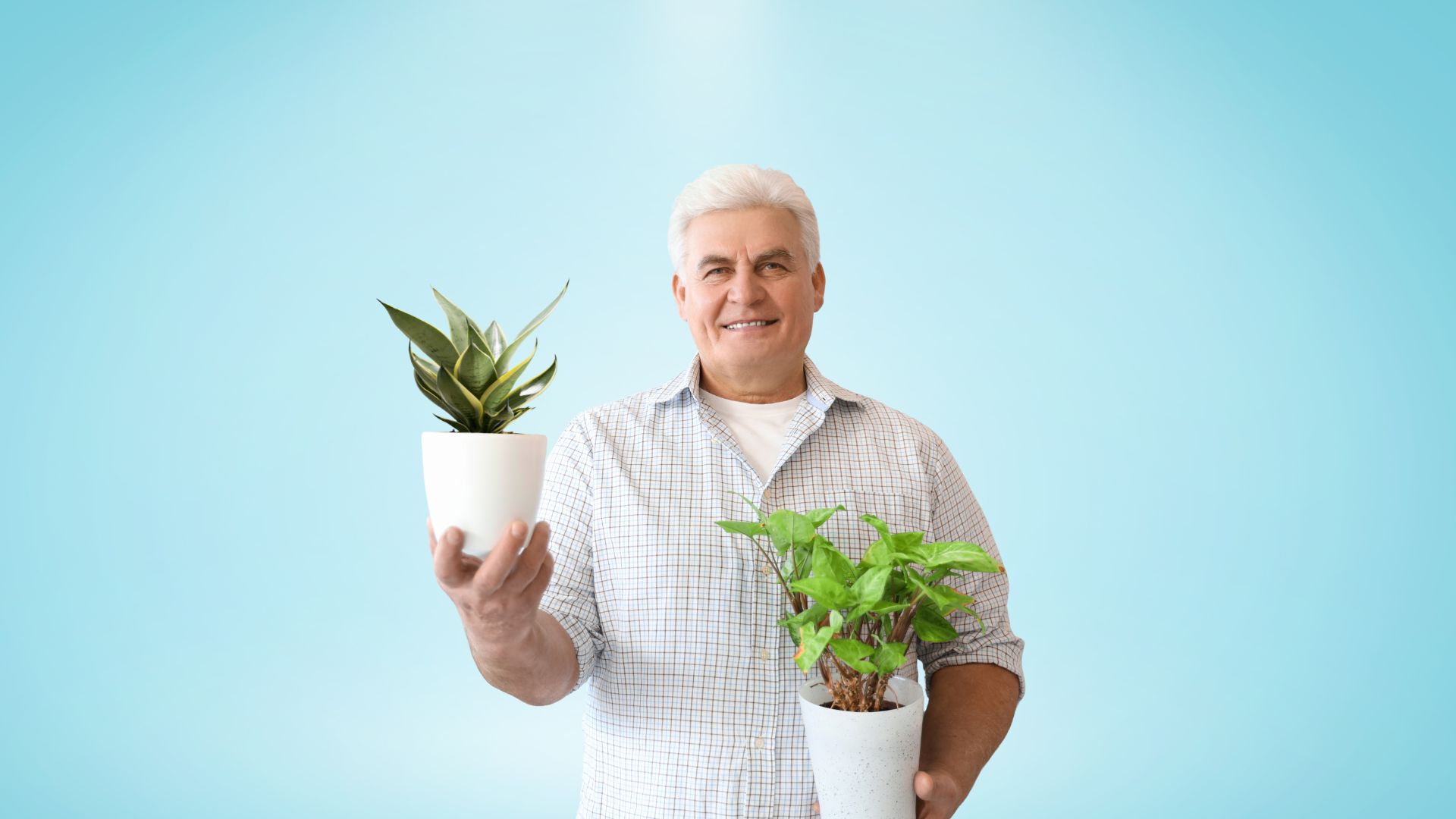 Vertical Farming startups