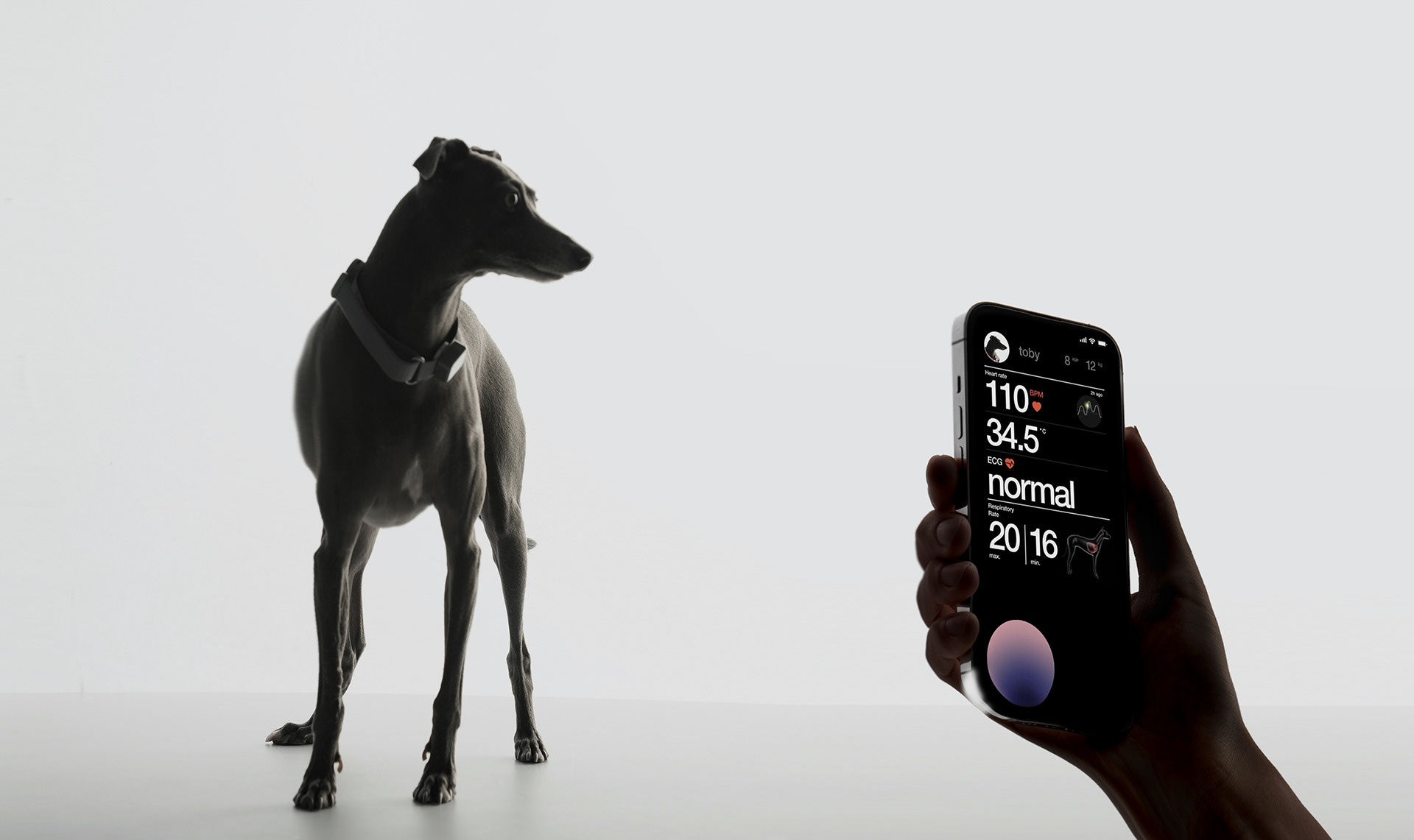 caresix-animal-healthcare-diagnostics-device