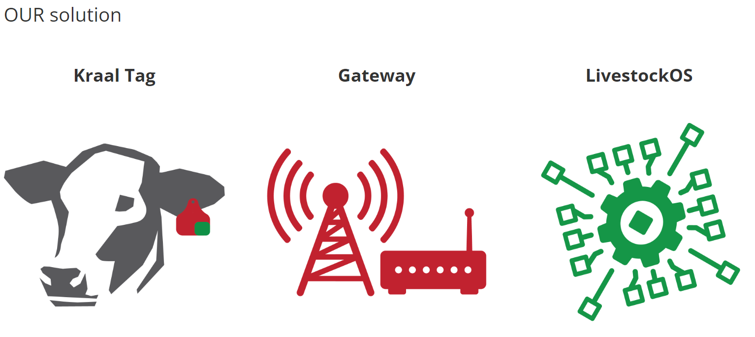 Kraal AI Tags to help Precision Livestock Farming