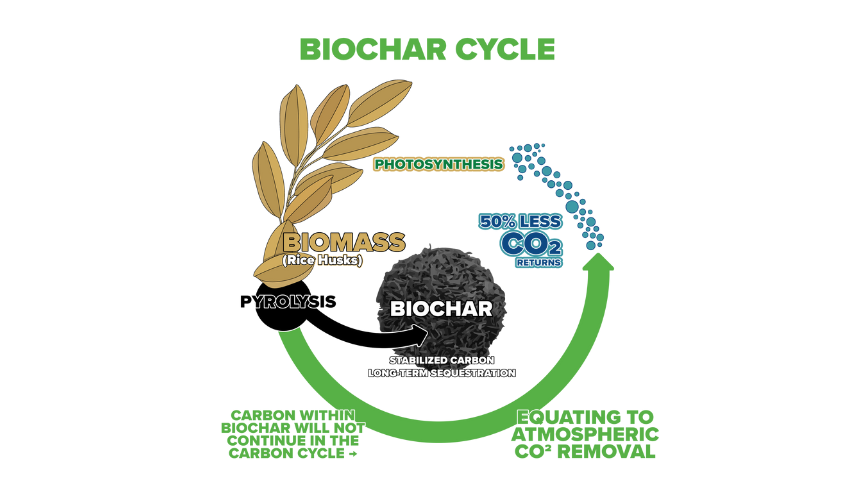 How to avoid greenwashing: Biochar