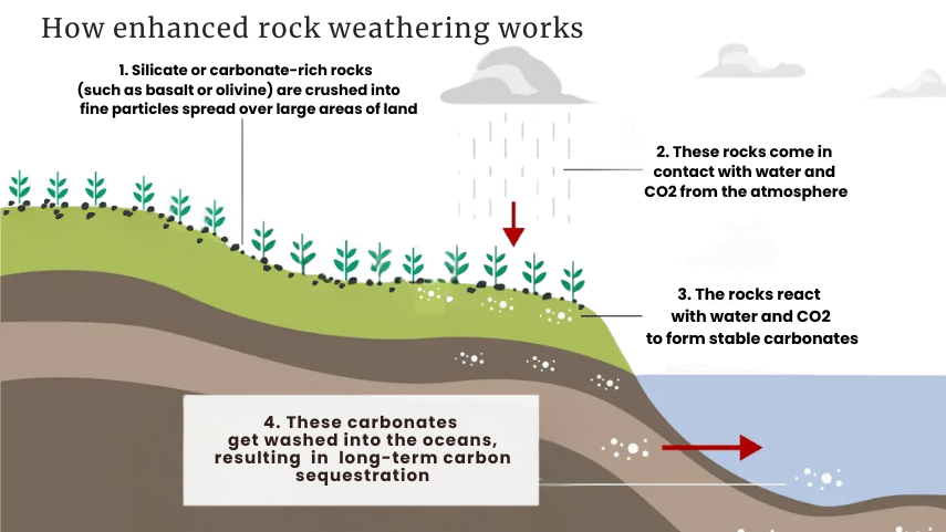 How to avoid greenwashing: Enhanced Rock Weathering