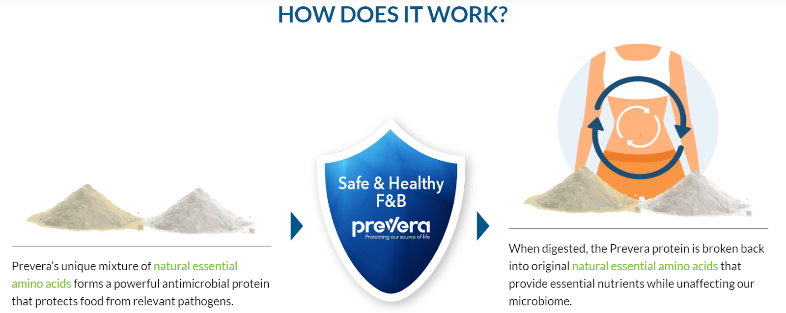 Prevera's Preservation Proteins for Increasing Food Safety And Quality Management