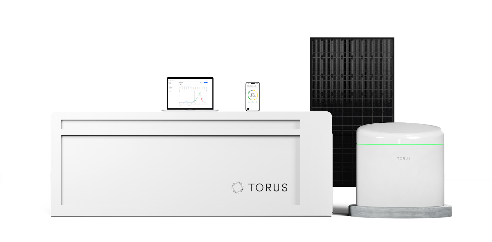 Torus Advanced Flywheel Energy Storage System