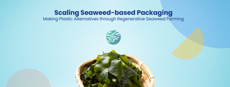 How B'zeos Creates Scalable, Seaweed-Based Packaging - GreyB