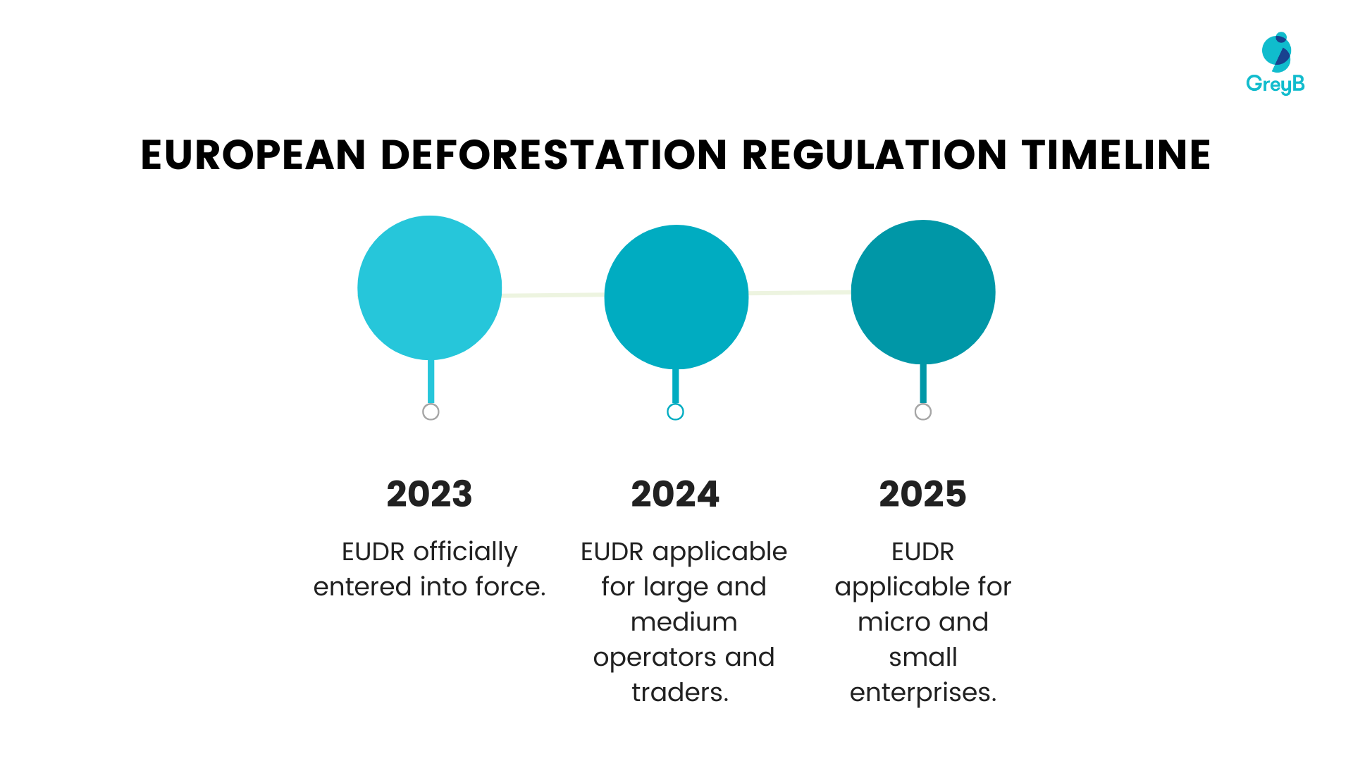 European Deforestation Regulation timeline