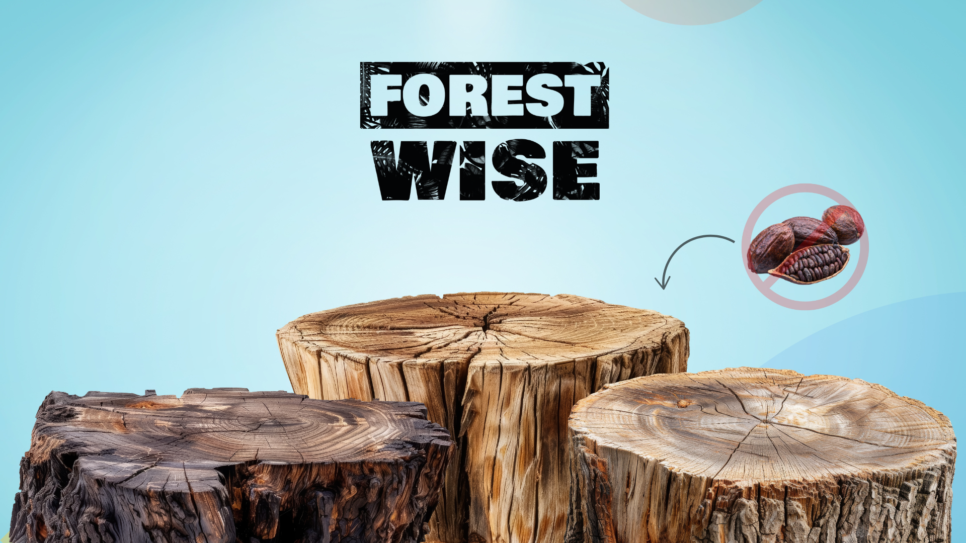 Forest Wise