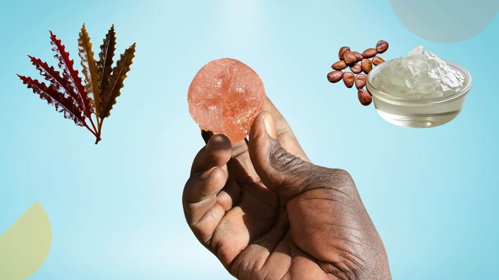 Gum Arabic Alternatives