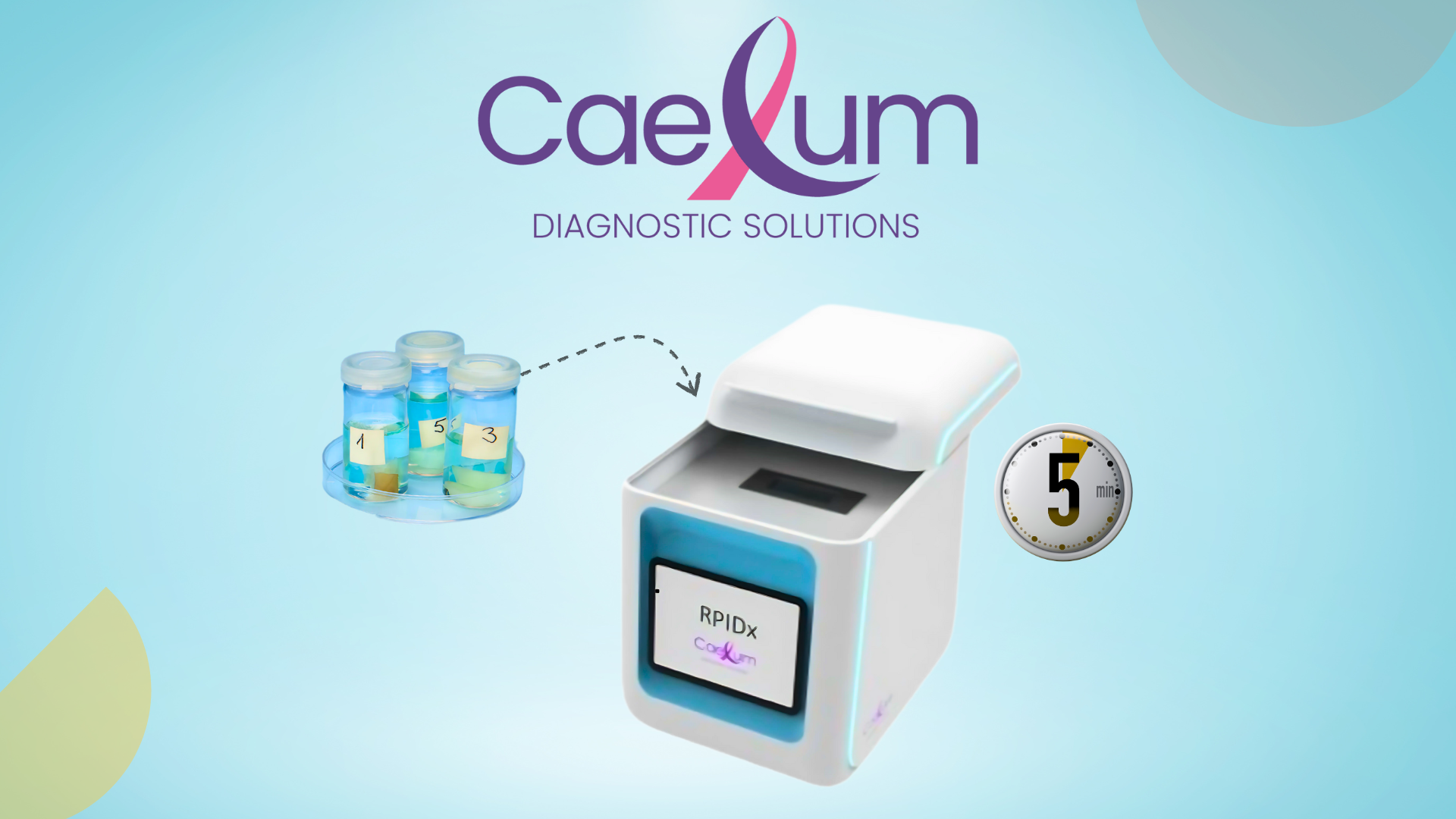 Caelum Diagnostic Solutions Scouted Interview