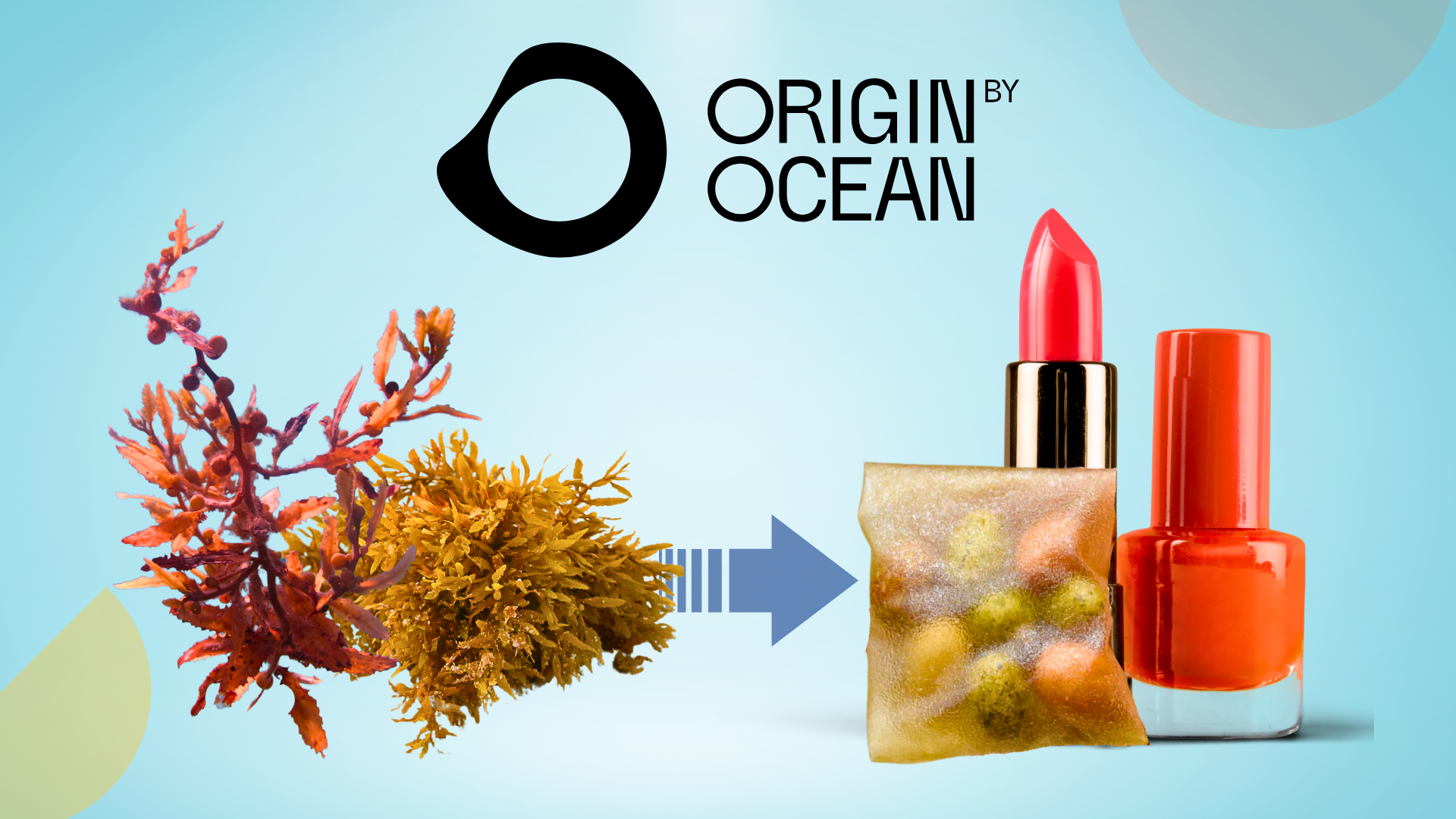 Origin by Ocean scouted interview