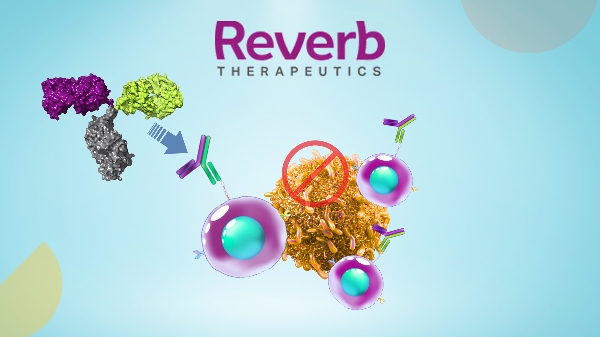 Reverb Therapeutics scouted interview