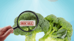 What R&D Heads Must Do Now to Prevent 2025’s Food Recall Surge