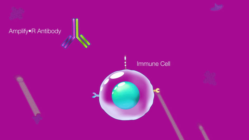 Reverb Therapeutics AMP01
