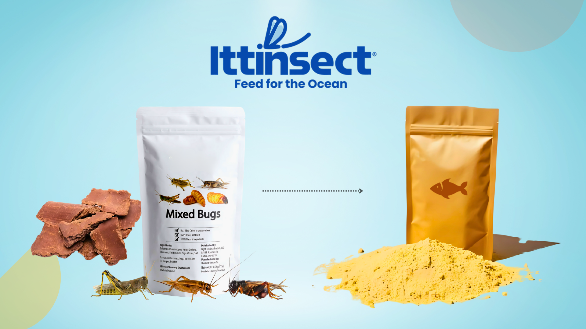 Ocean Twist Scouted Interview