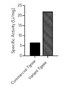 Alternatives to Formaldehyde: An experimental analysis was performed to evaluate the specific activity and stability of the developed Tgase variant