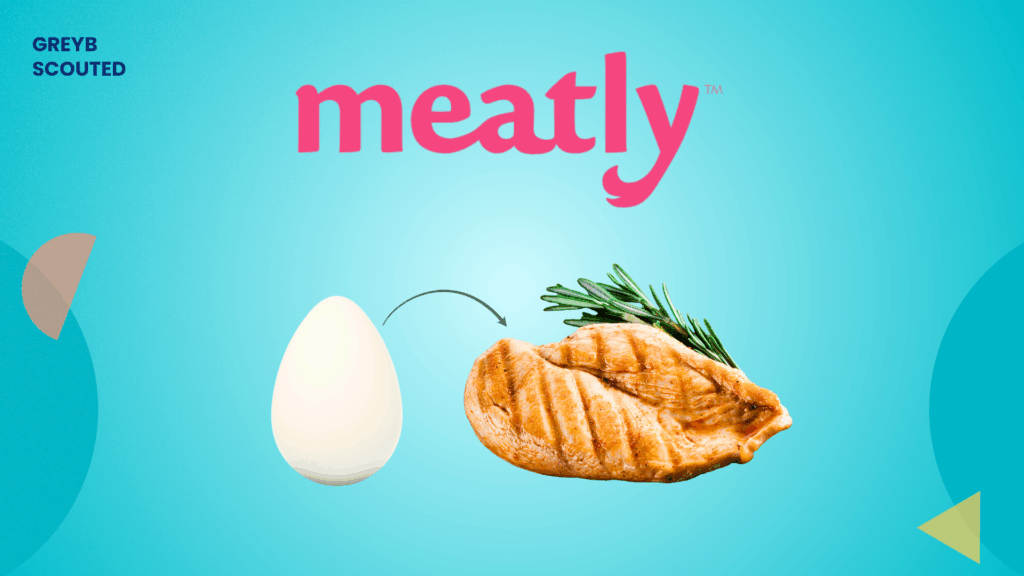 Meatly Scouted interview