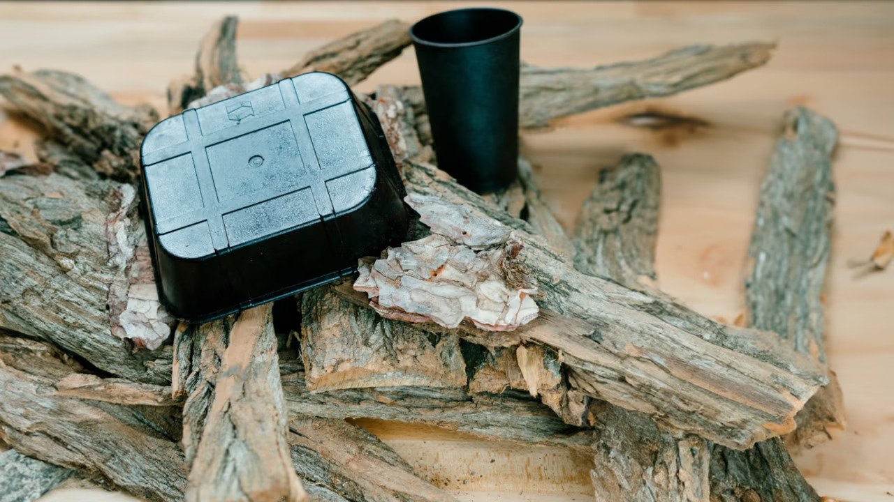 Tree Bark for food packaging