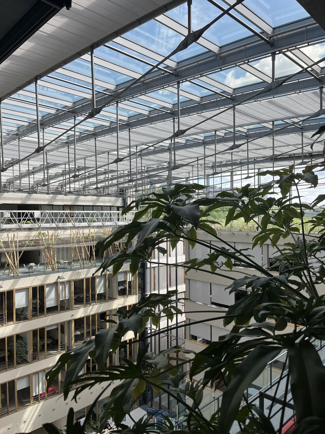 Sustainability in Pharma: Green office plants at Novartis’ ČSOB headquarters in Prague