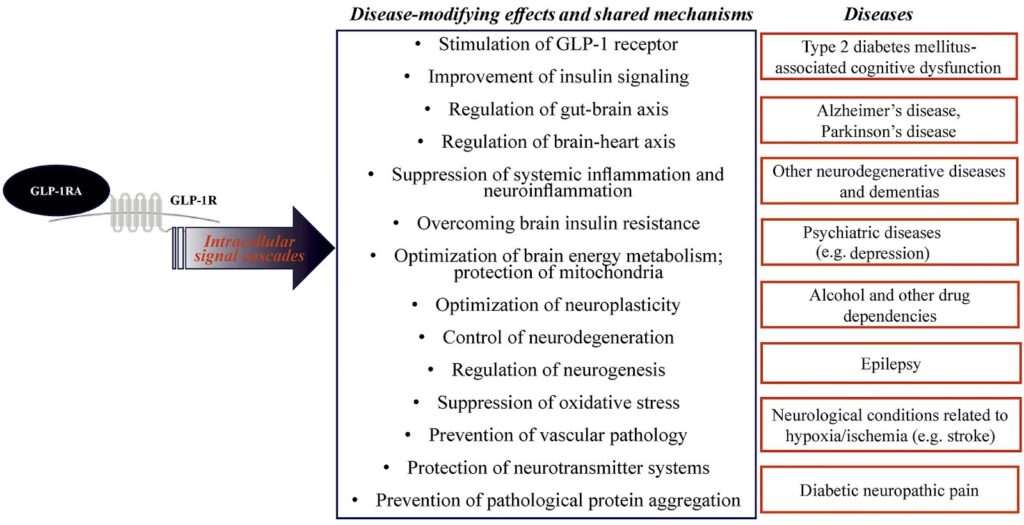Key Applications of GLP-1 Drugs beyond obesity