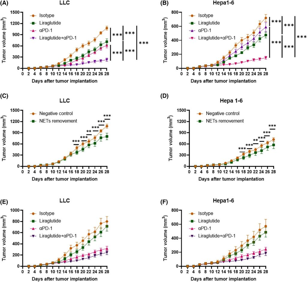 Liraglutide enhanced the antitumor efficacy of PD-1 blockade
