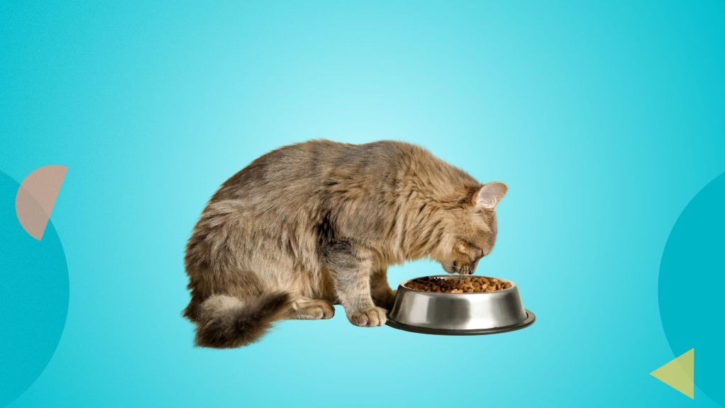 cultivated pet food challenges and startups