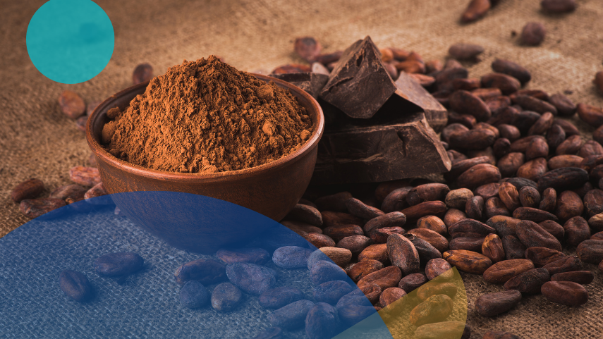 How Expert Interviews and Product Testing Helped Validate Alternative Cocoa Solutions