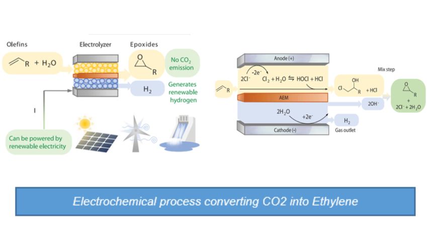 Identifying Bio Ethylene Suppliers To Boost the Sustainability of A Chemical Company