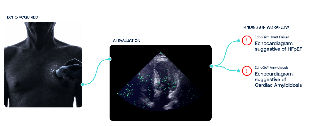 Women's Health Market