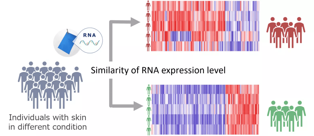 Skin Types Classification By Expression Characteristics Kao