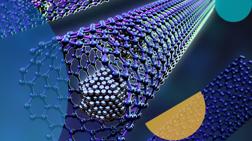 protein nanoparticle