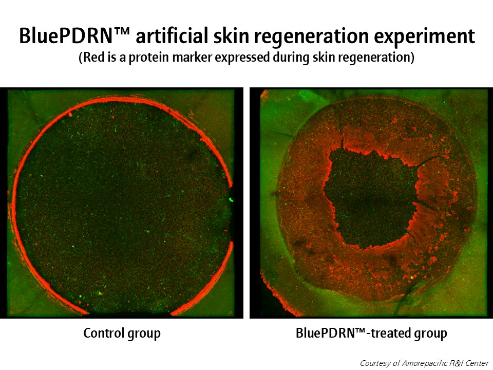BluePDRN SKin Regeneration