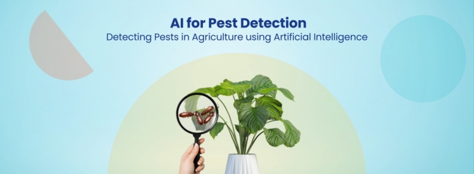 How AI Is Used To Detect Pests And Save Crops In Agriculture