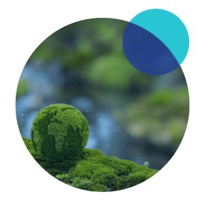 Carbon Neutrality and Negative