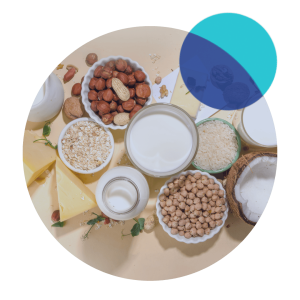 Plant based Dairy